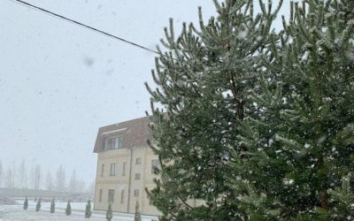 ВСТРЕЧА БИЗНЕС-СООБЩЕСТВА 12&nbsp;февраля&nbsp;2021&nbsp;г